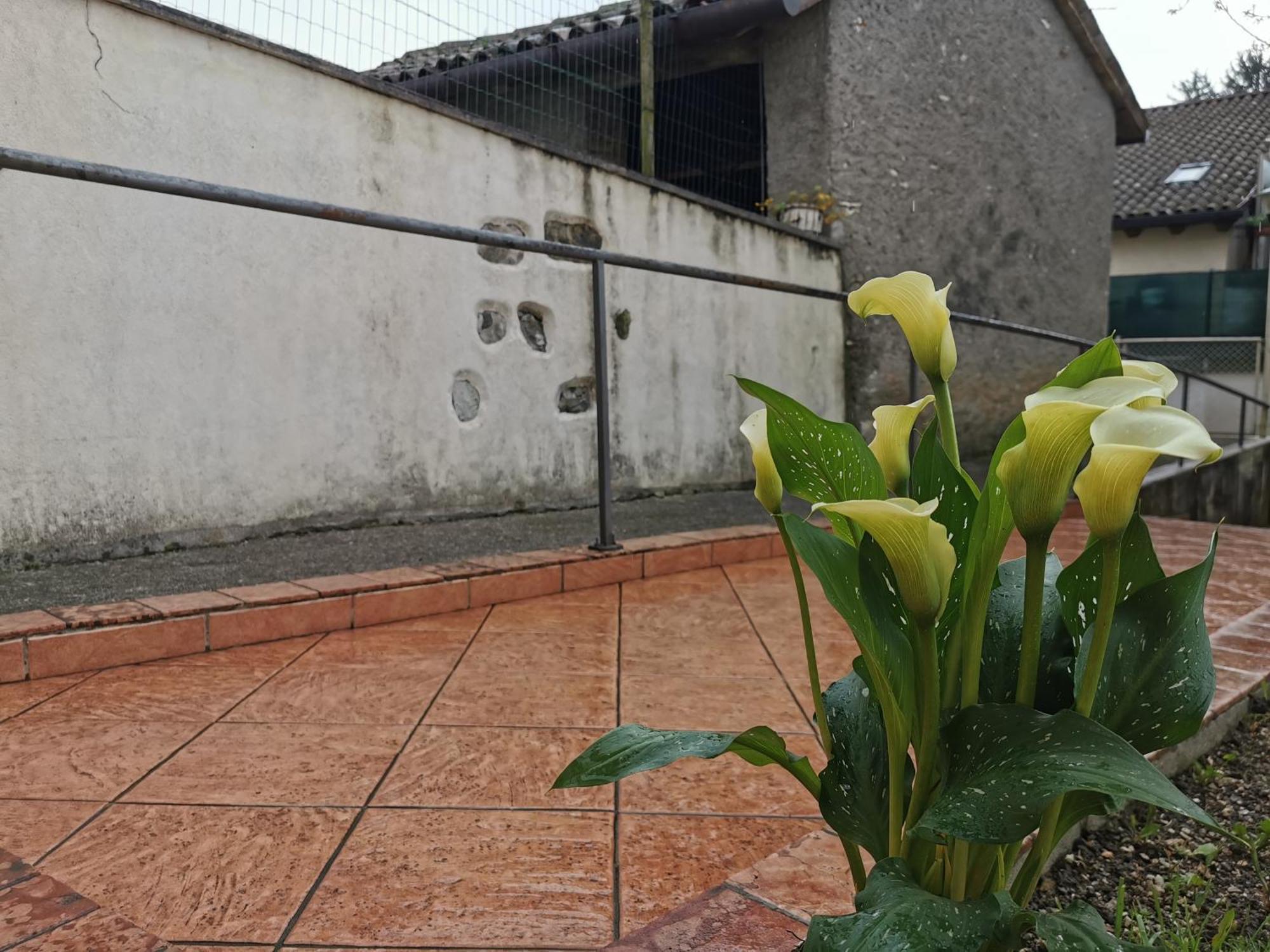 La Casa Nel Borgo Lägenhet Cavaso Del Tomba Exteriör bild