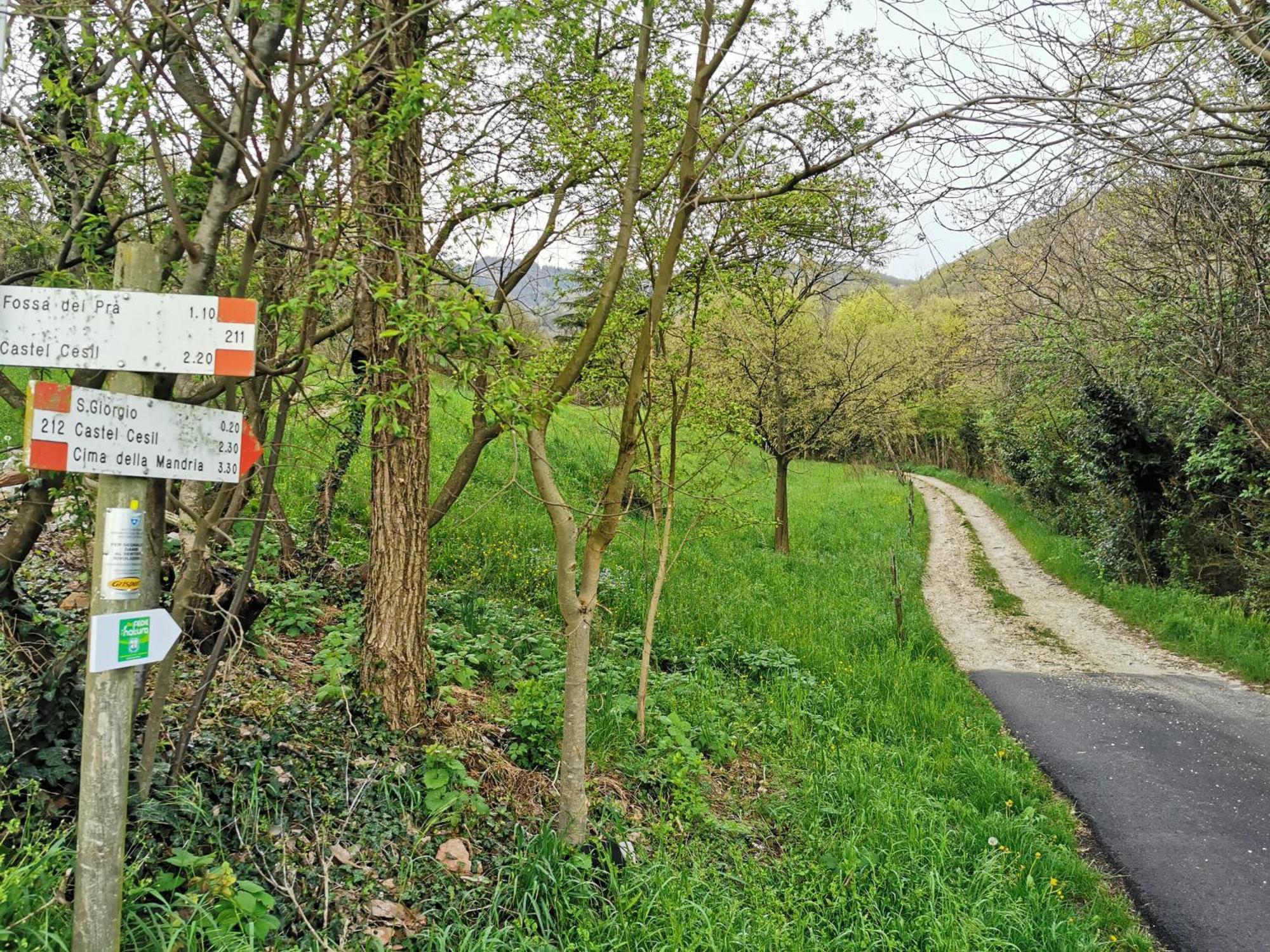 La Casa Nel Borgo Lägenhet Cavaso Del Tomba Exteriör bild