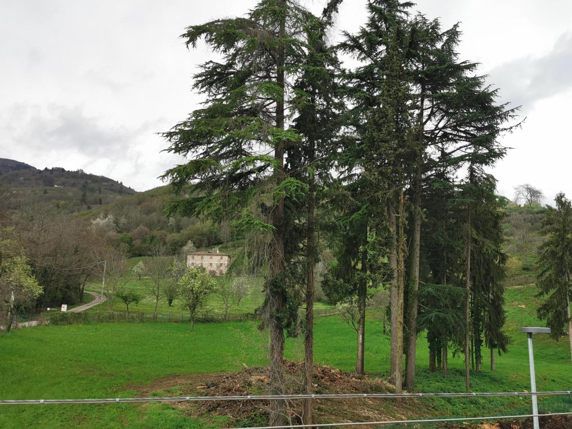 La Casa Nel Borgo Lägenhet Cavaso Del Tomba Exteriör bild